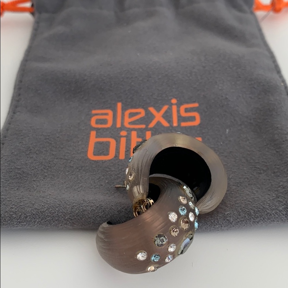 Alexis Bittar Lucite Crystal Drop Hoop earnings